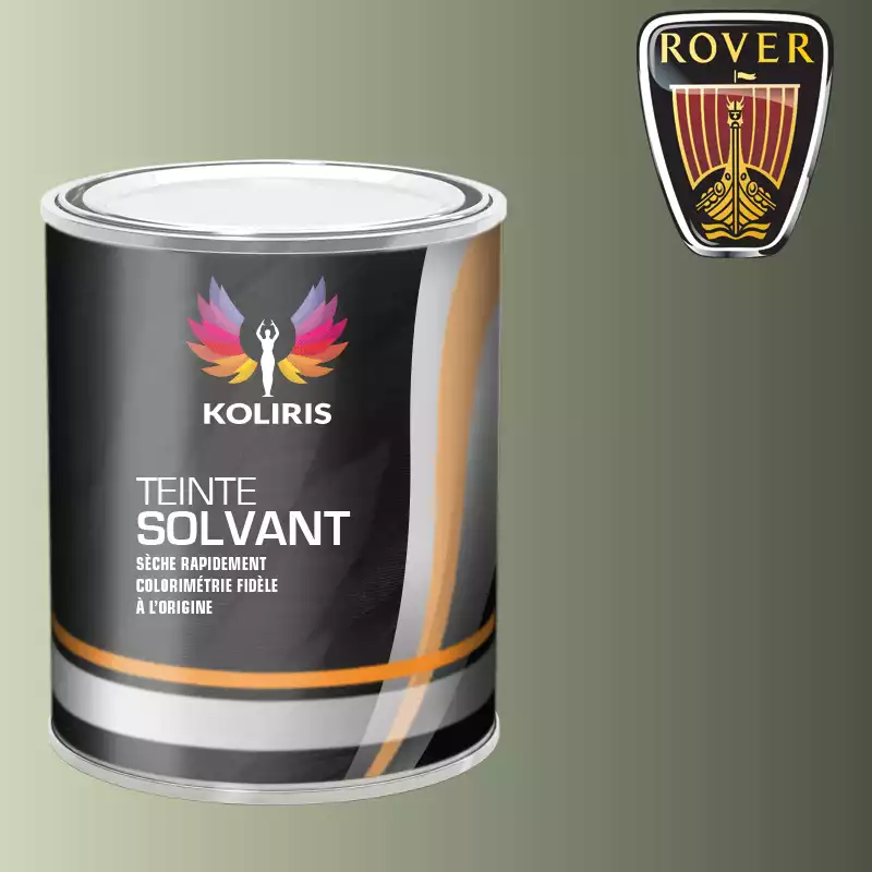 Peinture voiture solvant Rover