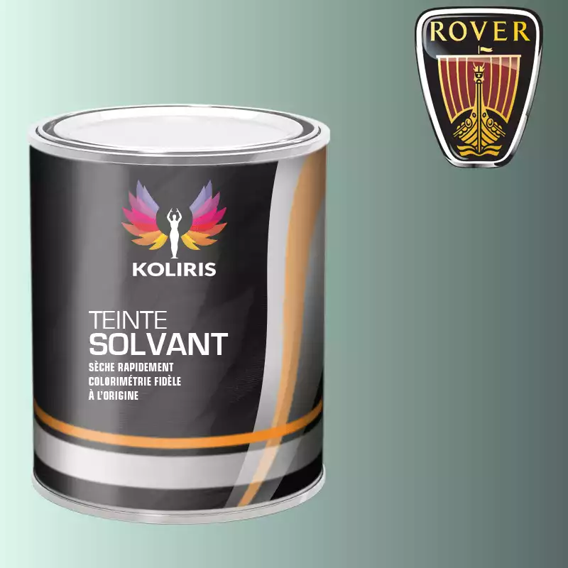 Peinture voiture solvant Rover