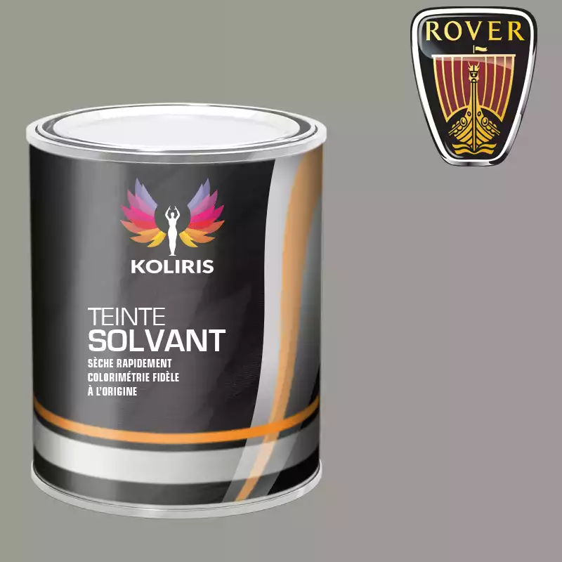 Peinture voiture solvant Rover