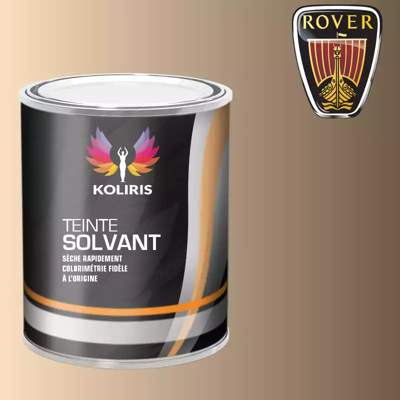 Peinture voiture solvant Rover