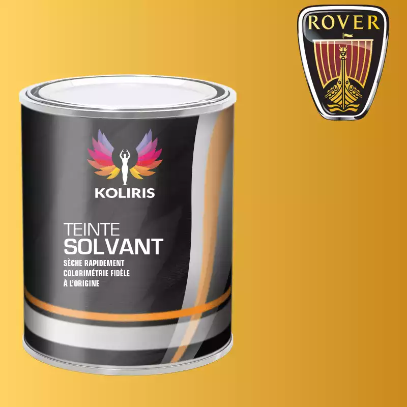 Peinture voiture solvant Rover