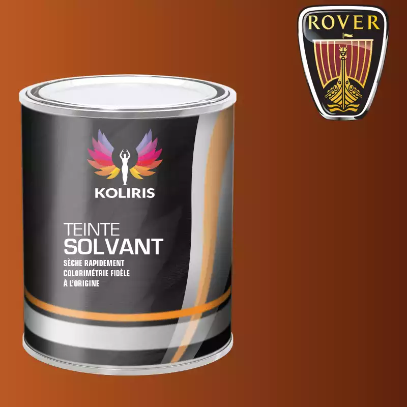 Peinture voiture solvant Rover