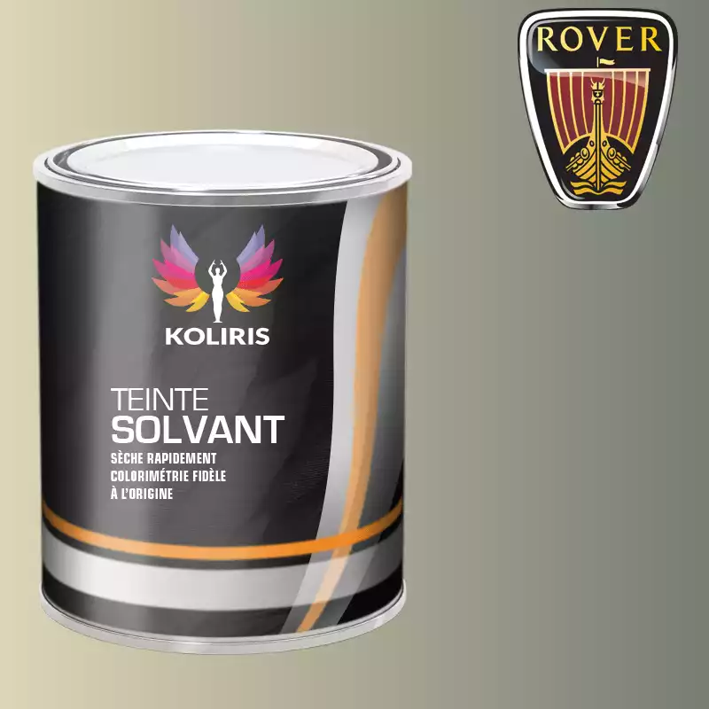 Peinture voiture solvant Rover