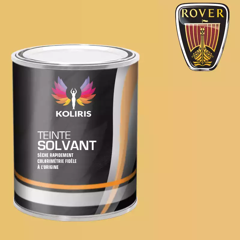 Peinture voiture solvant Rover