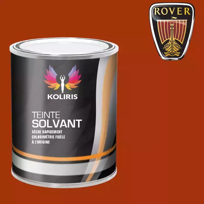 Peinture voiture solvant Rover