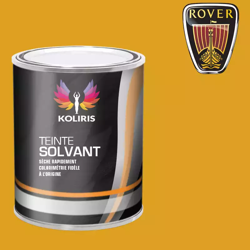 Peinture voiture solvant Rover