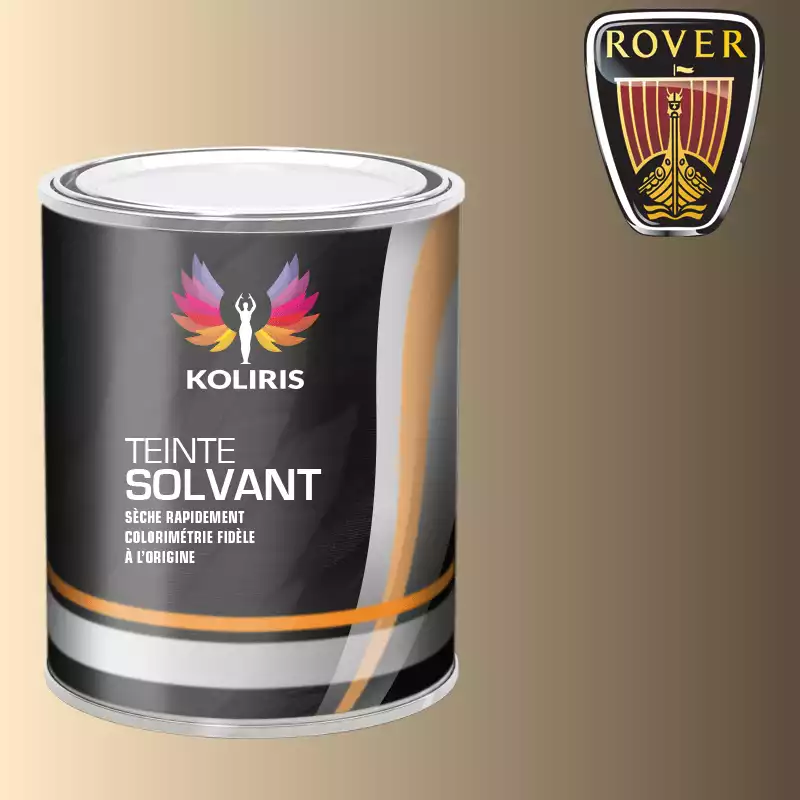 Peinture voiture solvant Rover