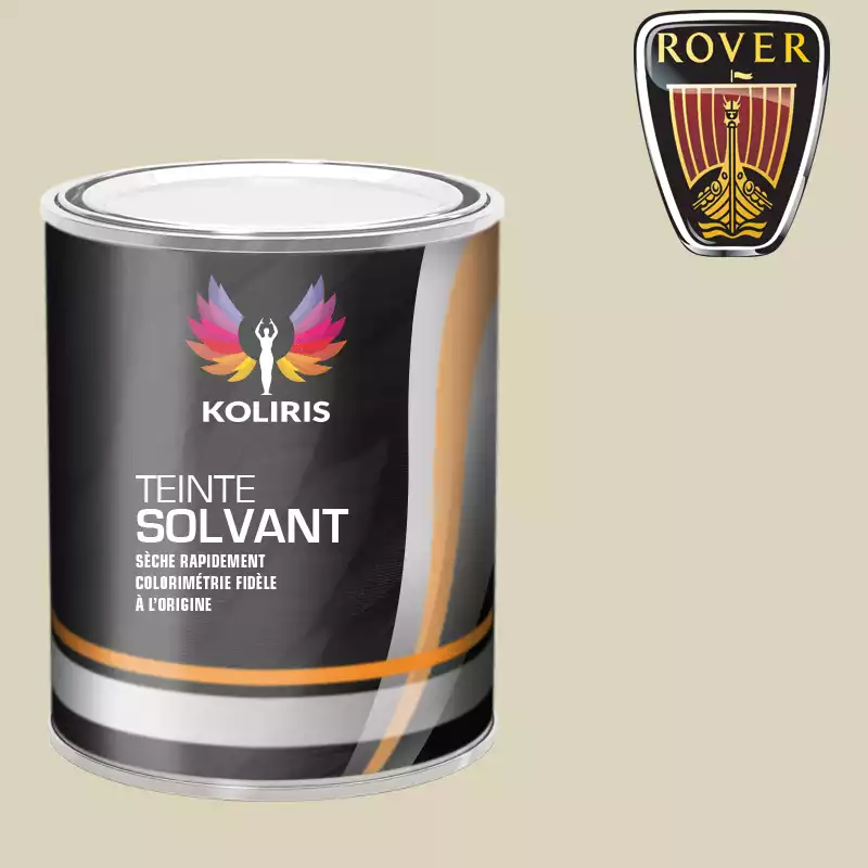 Peinture voiture solvant Rover