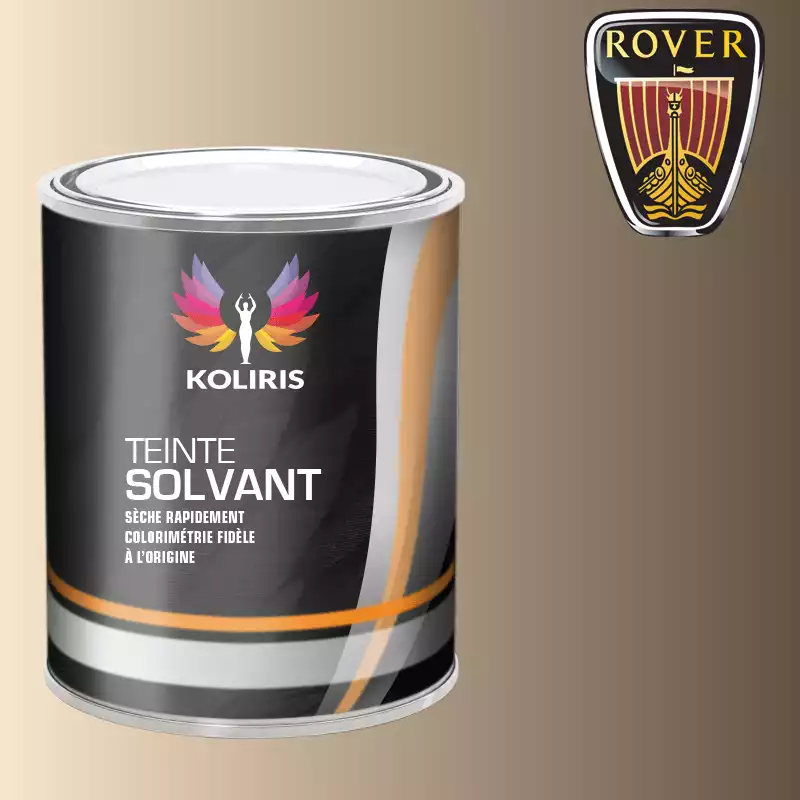 Peinture voiture solvant Rover