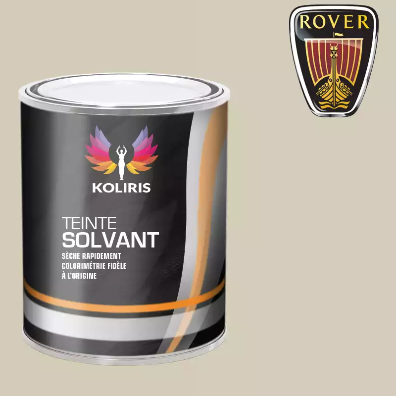 Peinture voiture solvant Rover