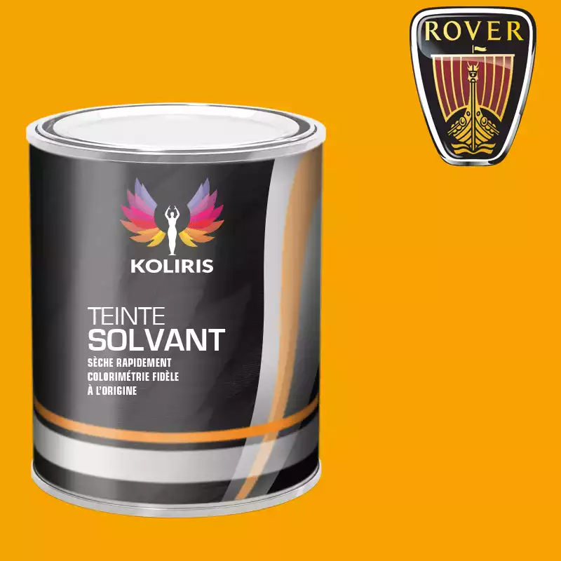 Peinture voiture solvant Rover