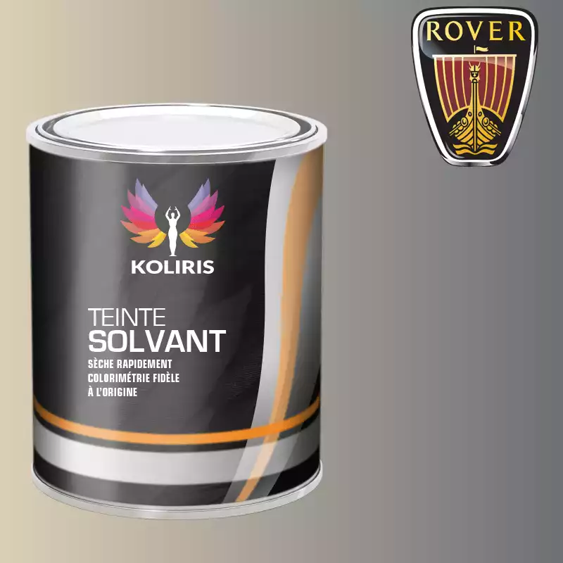 Peinture voiture solvant Rover