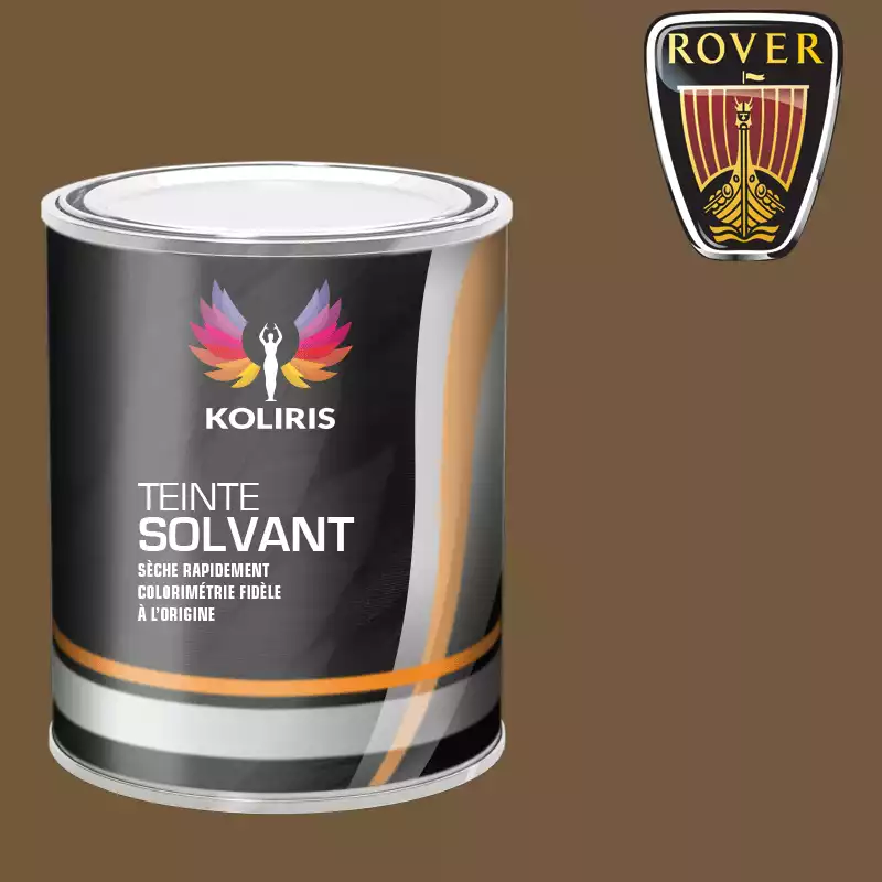 Peinture voiture solvant Rover