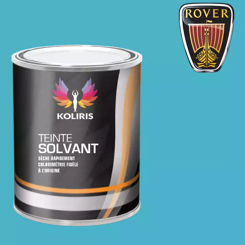 Peinture voiture solvant Rover