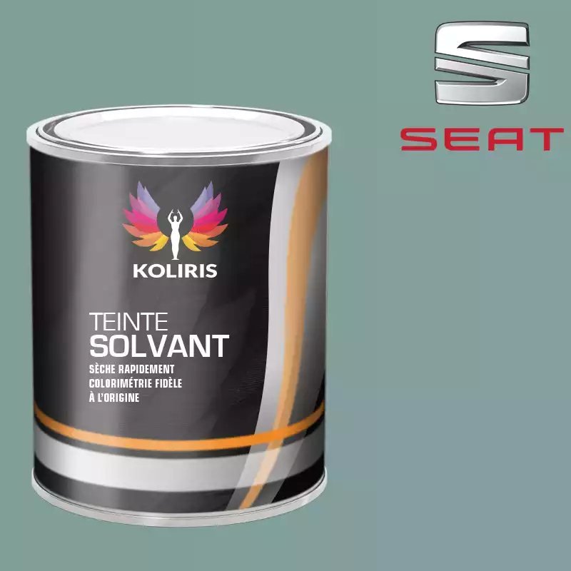 Peinture voiture solvant Seat