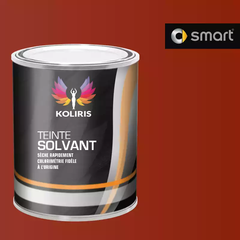 Peinture voiture solvant Smart