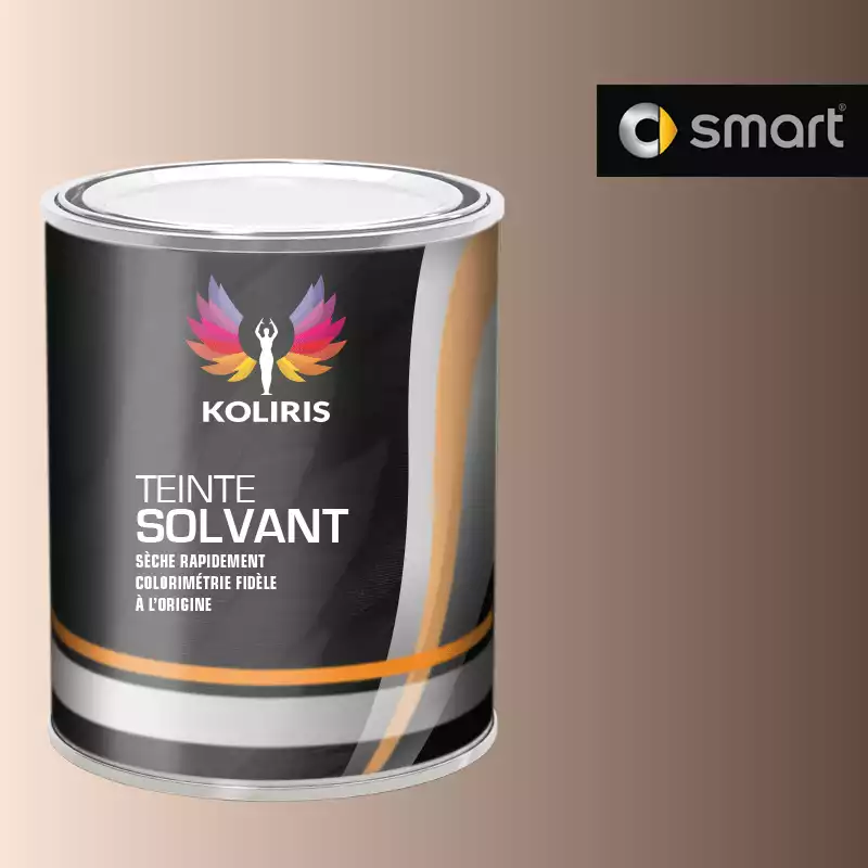 Peinture voiture solvant Smart