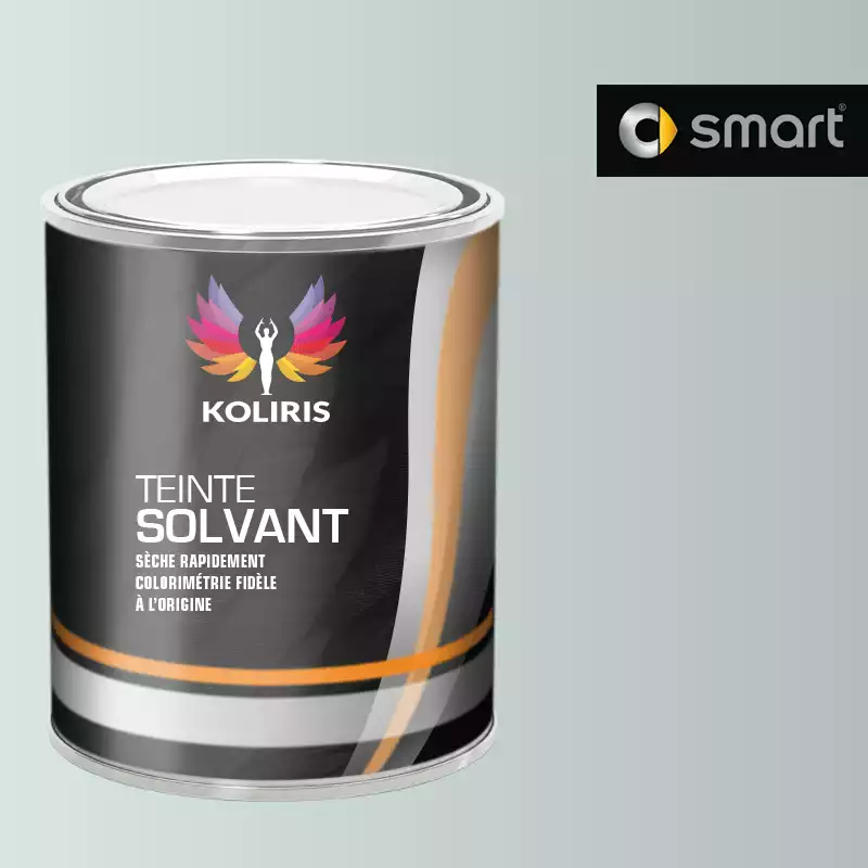 Peinture voiture solvant Smart