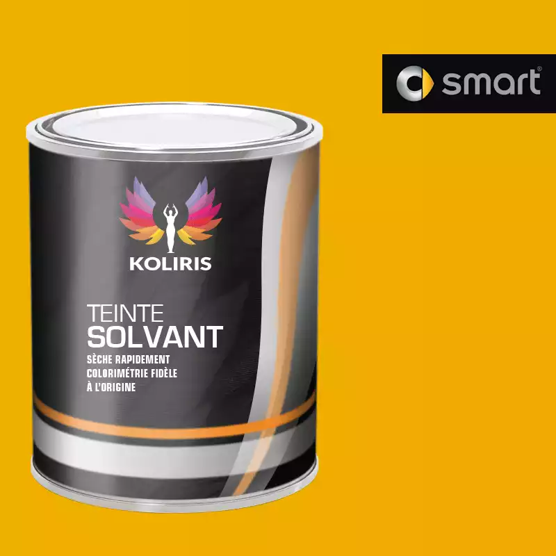 Peinture voiture solvant Smart