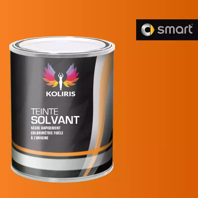 Peinture voiture solvant Smart