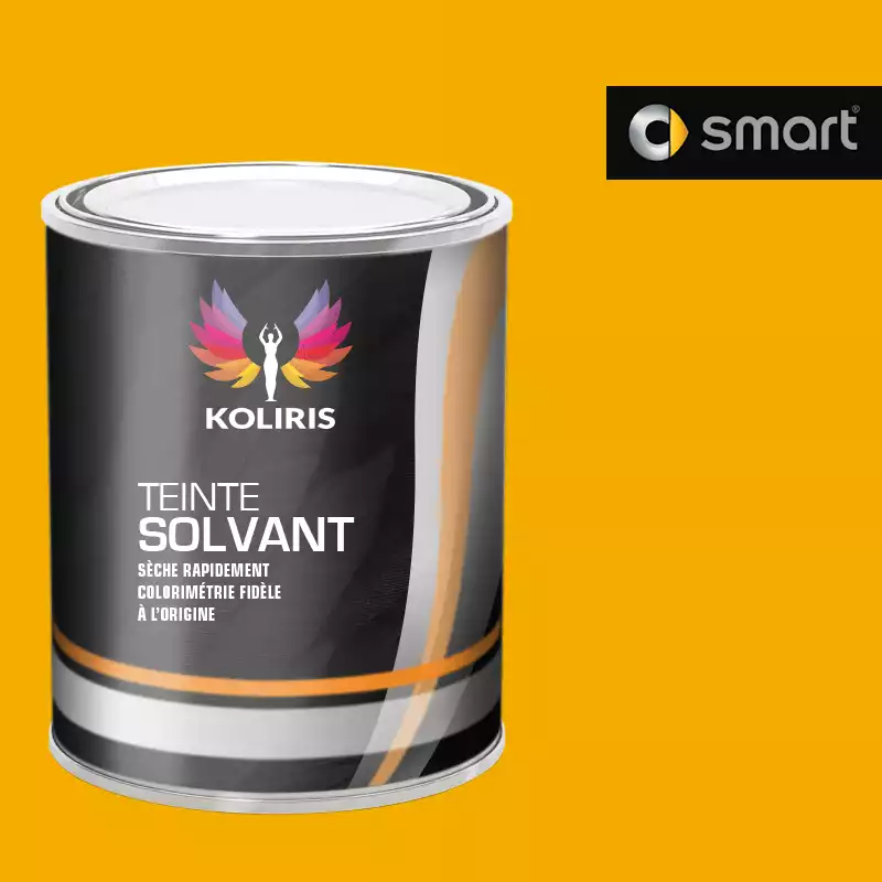 Peinture voiture solvant Smart