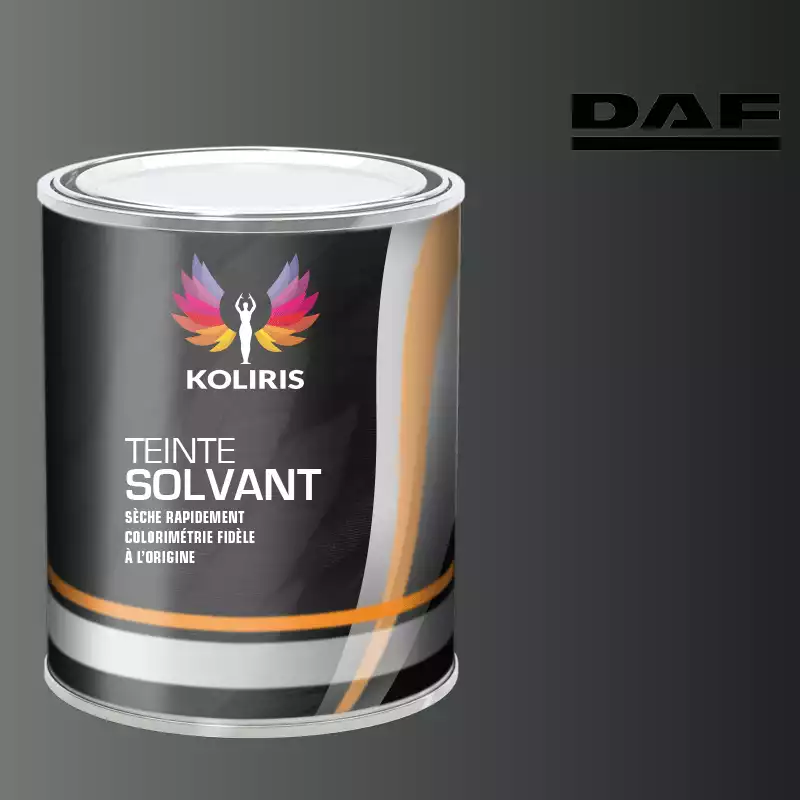 Peinture utilitaire - camion solvant Daf