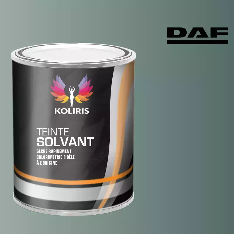 Peinture utilitaire - camion solvant Daf