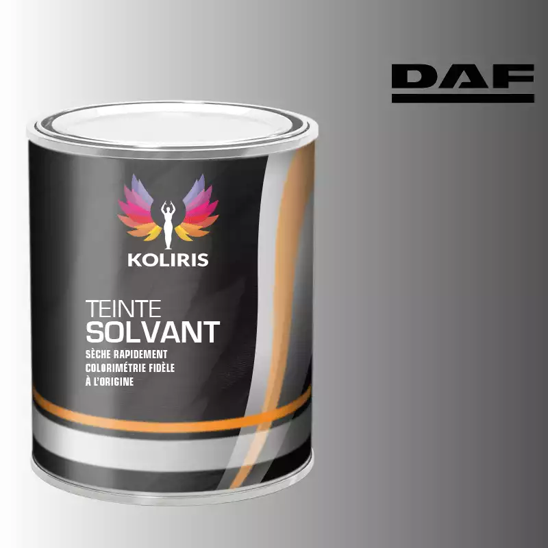 Peinture utilitaire - camion solvant Daf