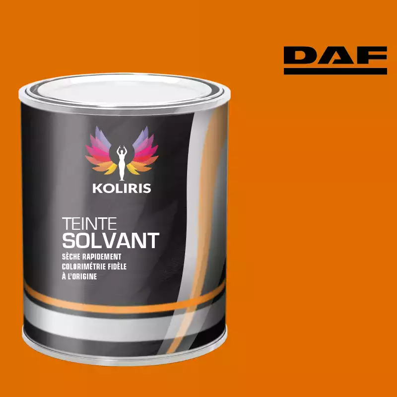 Peinture utilitaire - camion solvant Daf