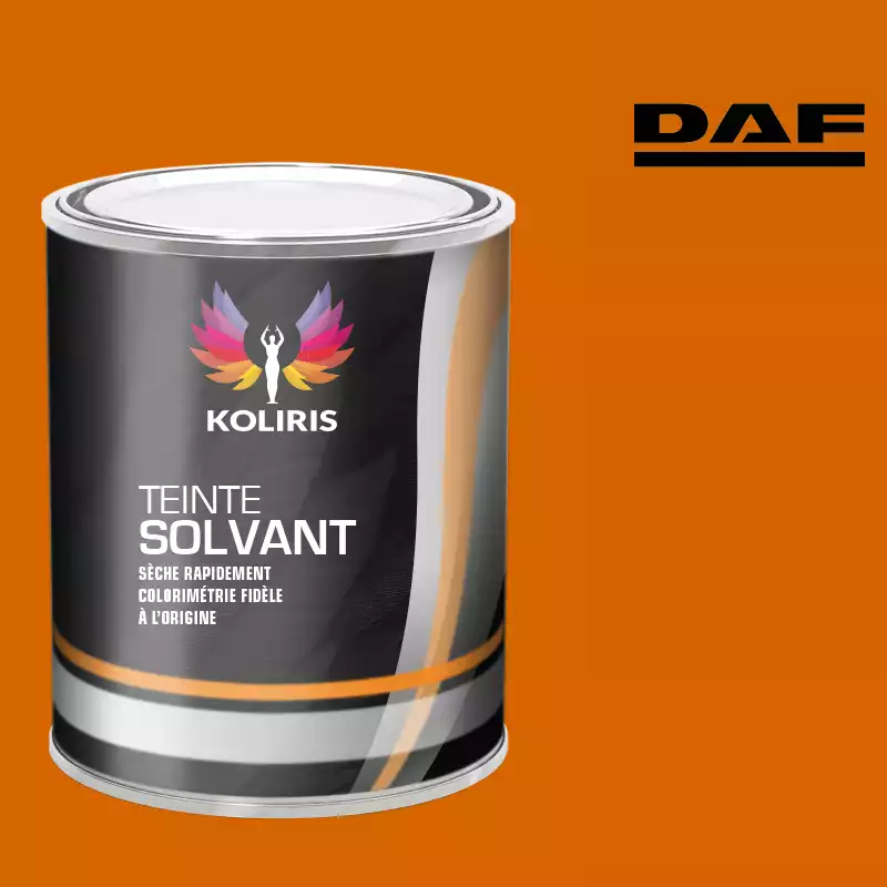 Peinture utilitaire - camion solvant Daf