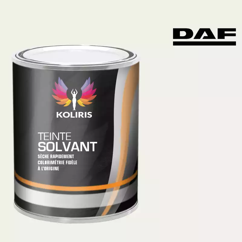 Peinture utilitaire - camion solvant Daf