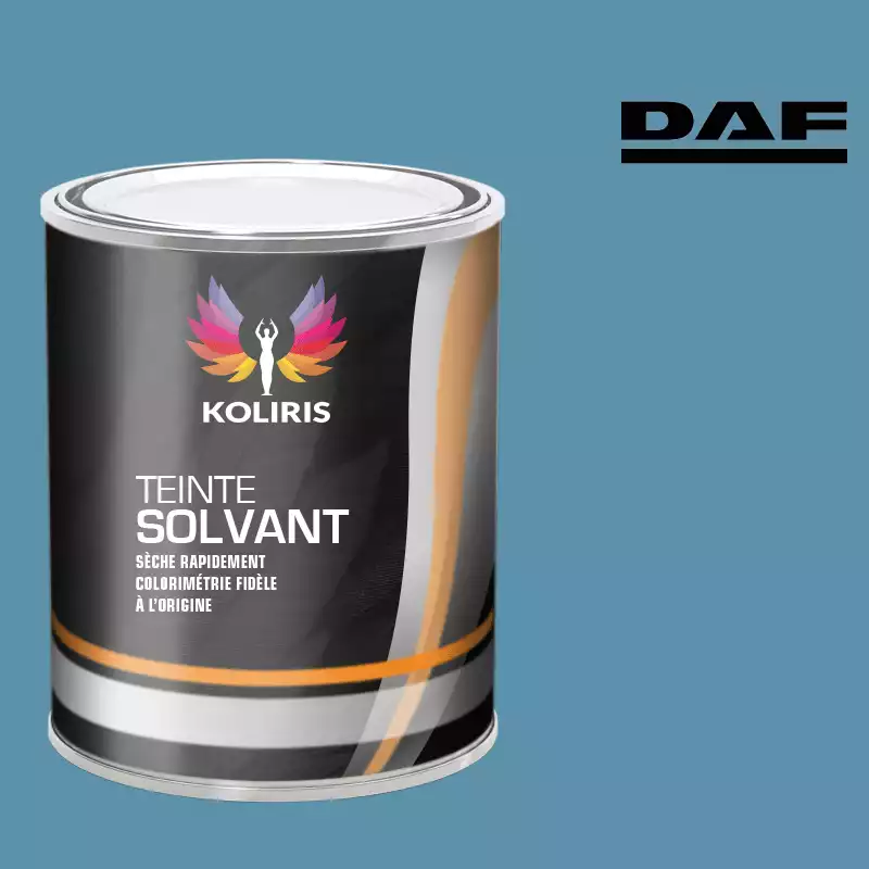 Peinture utilitaire - camion solvant Daf