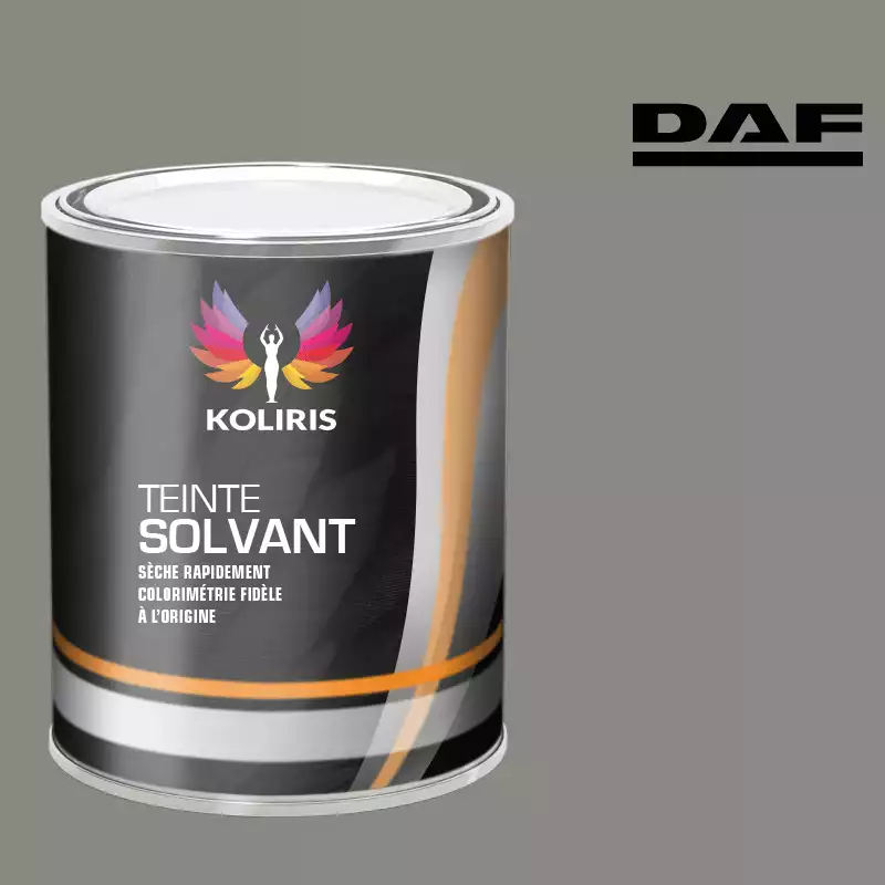 Peinture utilitaire - camion solvant Daf