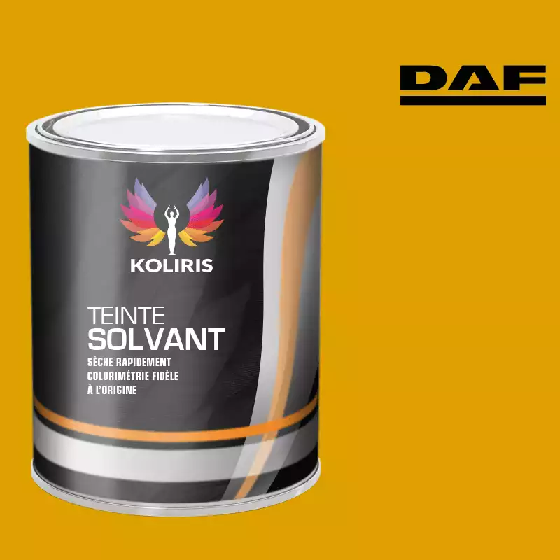 Peinture utilitaire - camion solvant Daf