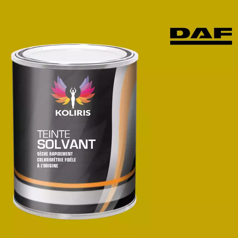 Peinture utilitaire - camion solvant Daf