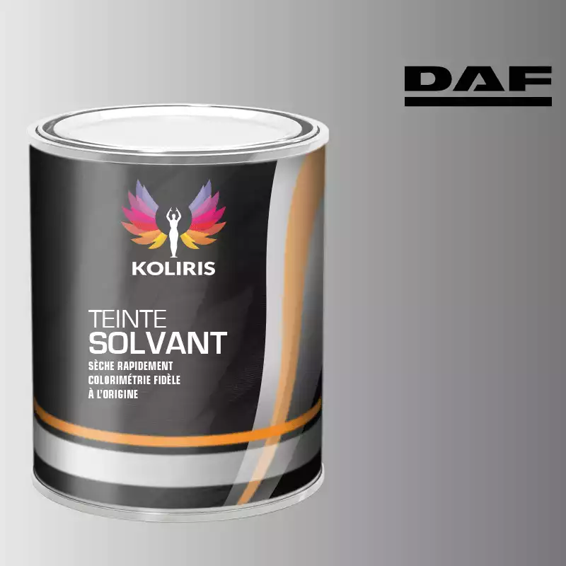 Peinture utilitaire - camion solvant Daf