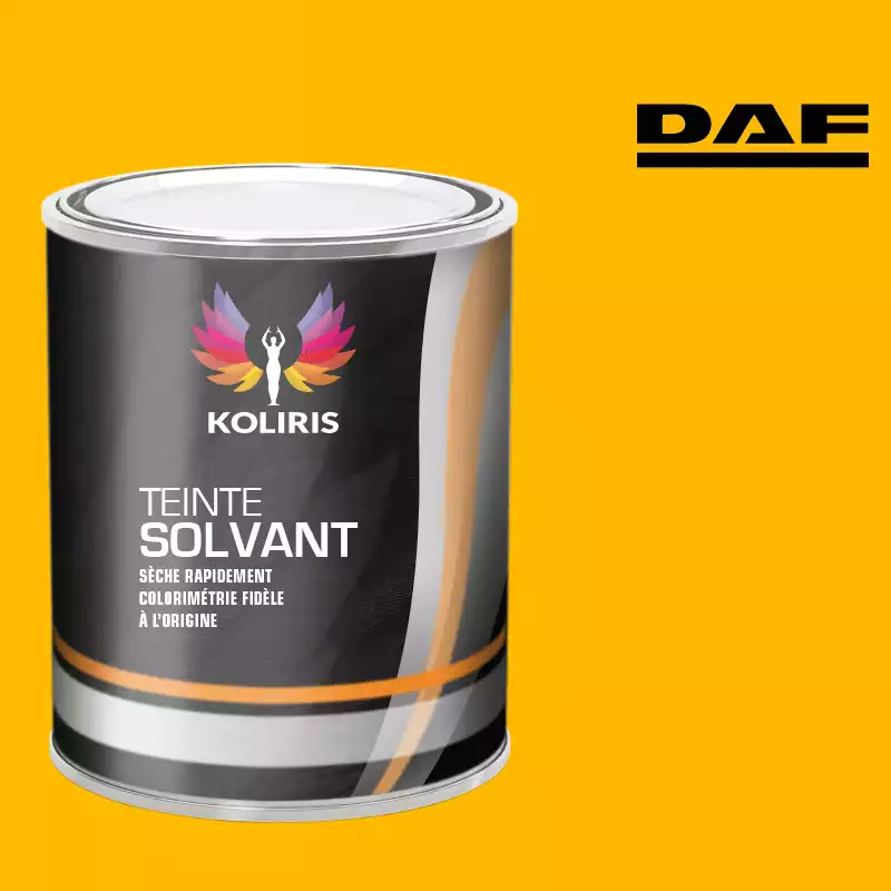 Peinture utilitaire - camion solvant Daf