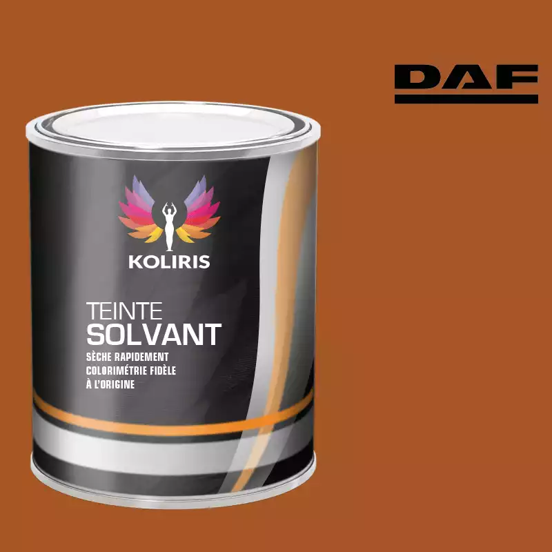 Peinture utilitaire - camion solvant Daf