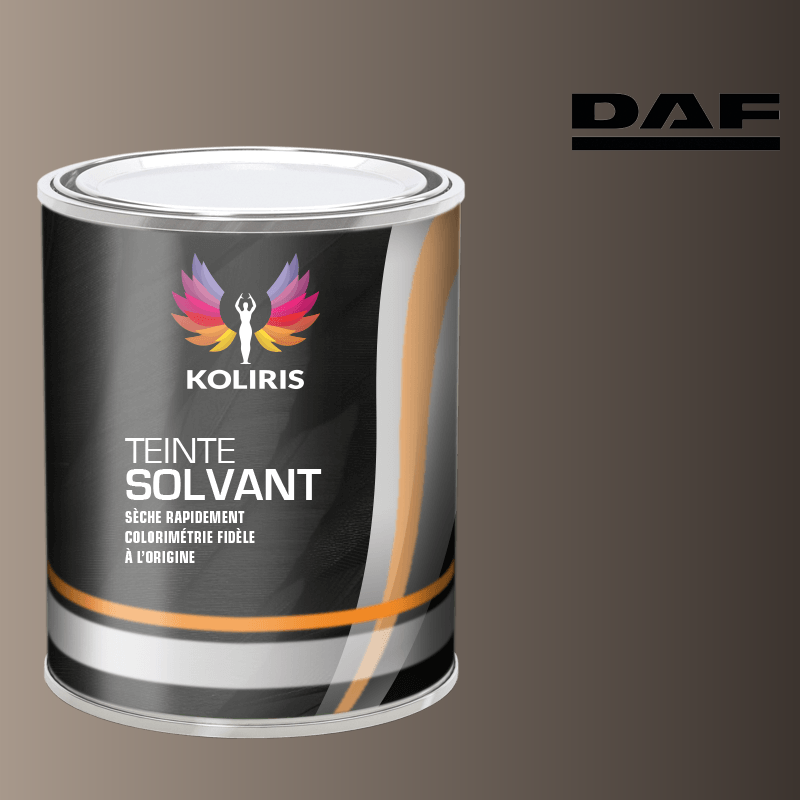 Peinture utilitaire - camion solvant Daf