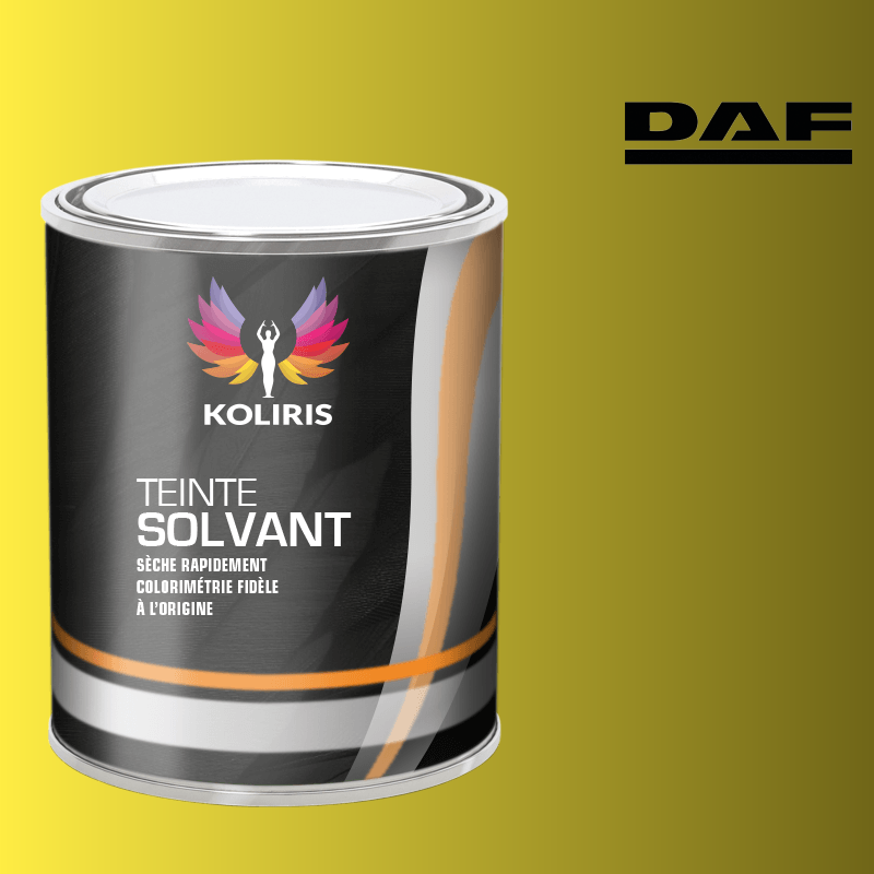 Peinture utilitaire - camion solvant Daf