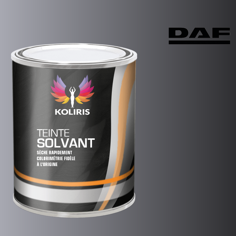 Peinture utilitaire - camion solvant Daf