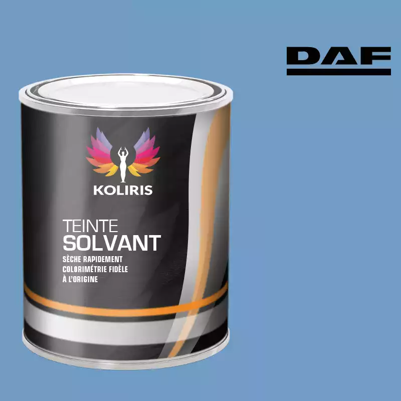 Peinture utilitaire - camion solvant Daf