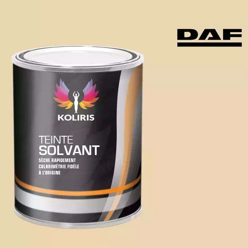 Peinture utilitaire - camion solvant Daf