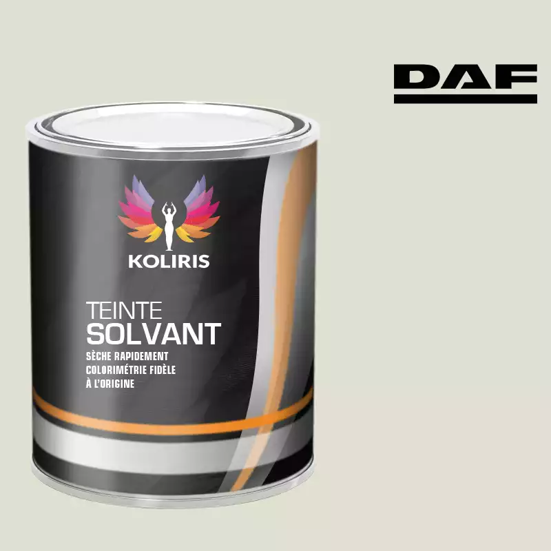 Peinture utilitaire - camion solvant Daf