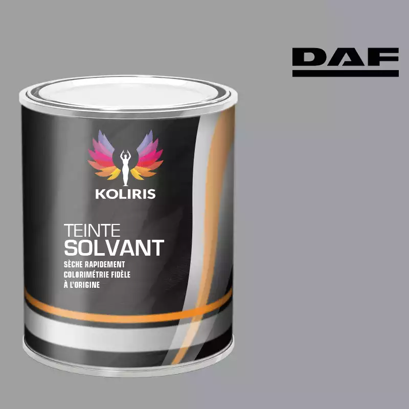 Peinture utilitaire - camion solvant Daf