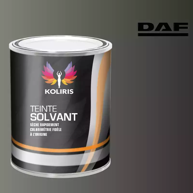 Peinture utilitaire - camion solvant Daf