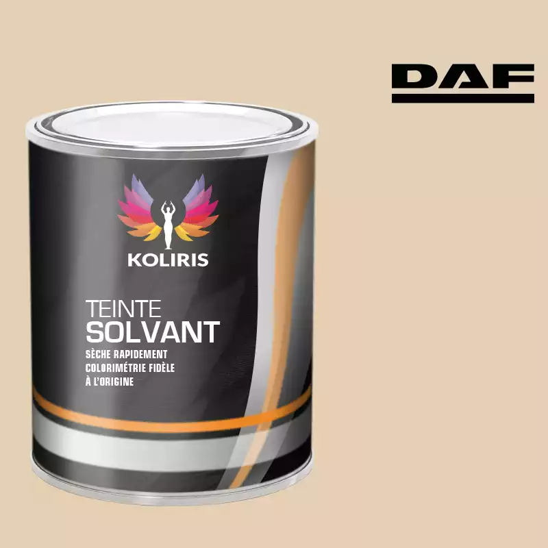 Peinture utilitaire - camion solvant Daf