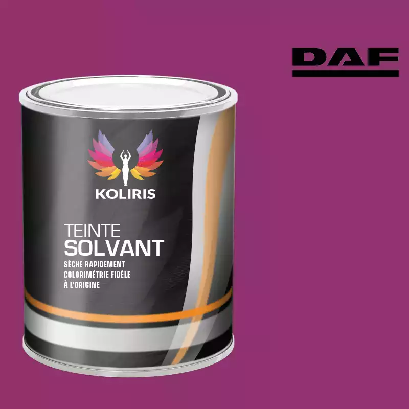 Peinture utilitaire - camion solvant Daf