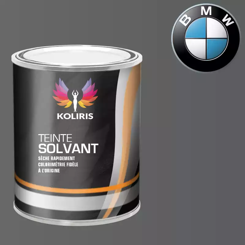 Peinture moto solvant Bmw Moto