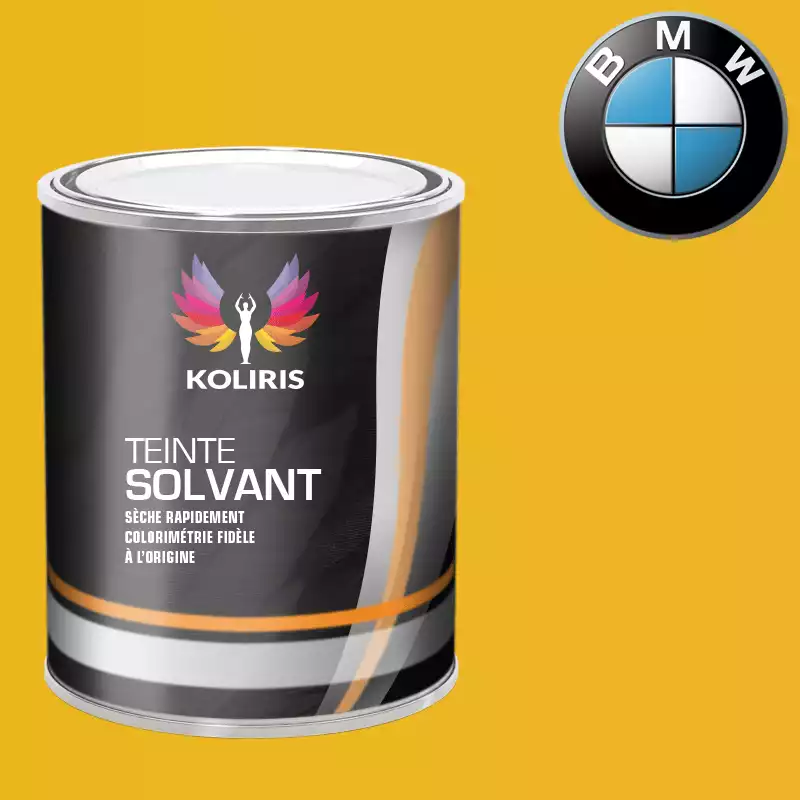 Peinture moto solvant Bmw Moto